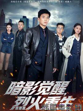 暗影觉醒，烈火重生