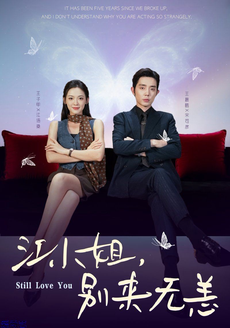 江小姐，别来无恙分手五年，宋先生别纠缠