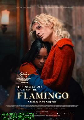 弗拉明戈的神秘眼神