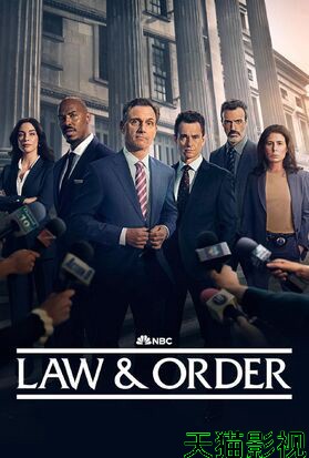 法律与秩序 第二十五季