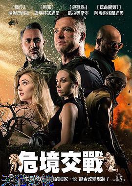 危境交战