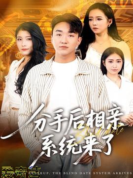 分手后相亲系统来了