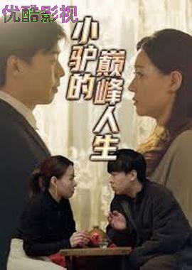 小驴的巅峰人生