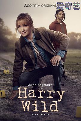 野探哈莉第四季